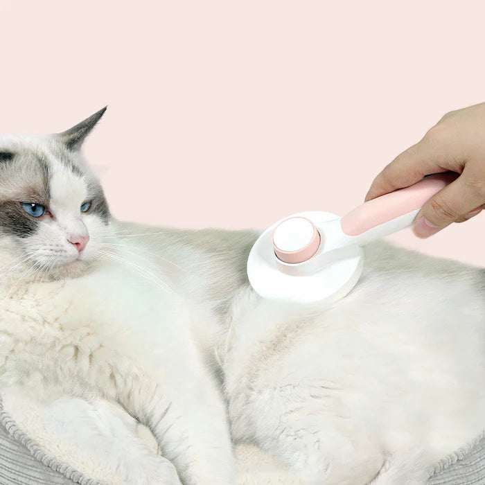 -Cleaning Pet Brush